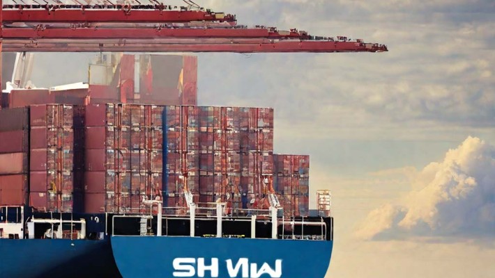 Unlocking the Potential of China Ocean Carriers