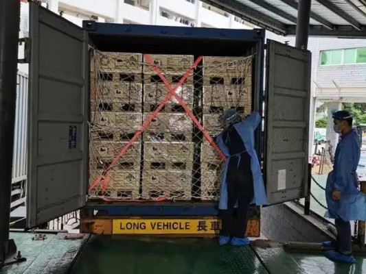  Lithium Battery Pack Sea Freight FCL